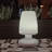 Aillee White 19Cm H Battery Powered Integrated LED Outdoor Table Lamp