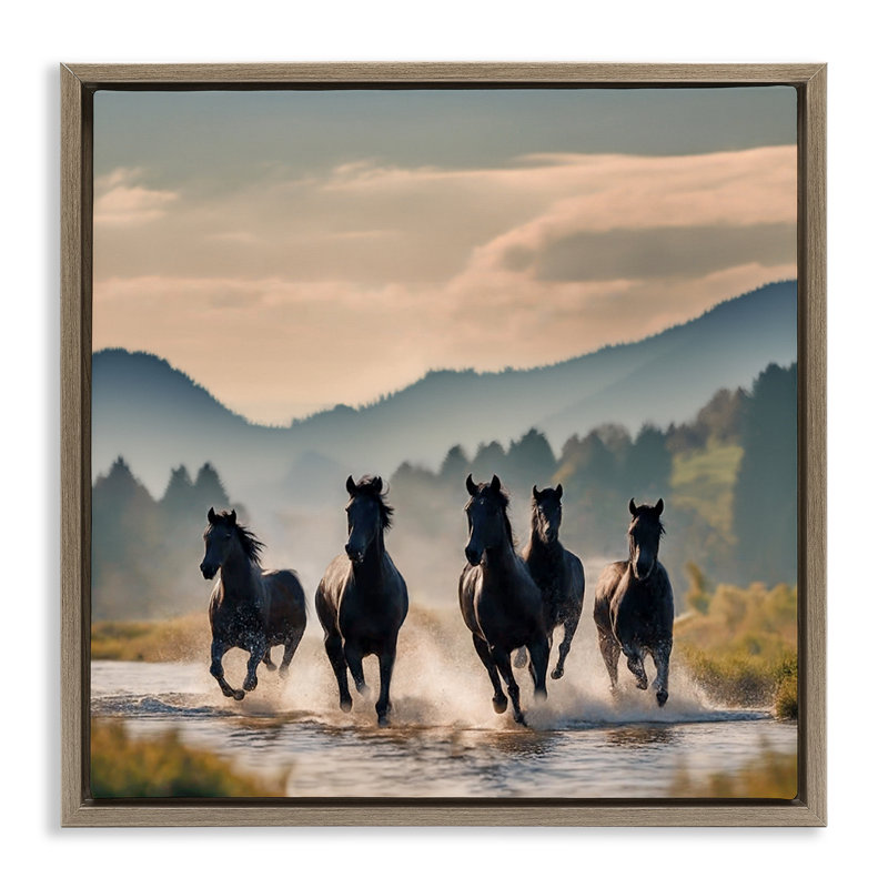 «Canyon Stallions Trotting» par Noah Bay, Cadre flottant orme Montalcino, H 25 po x l 25 po