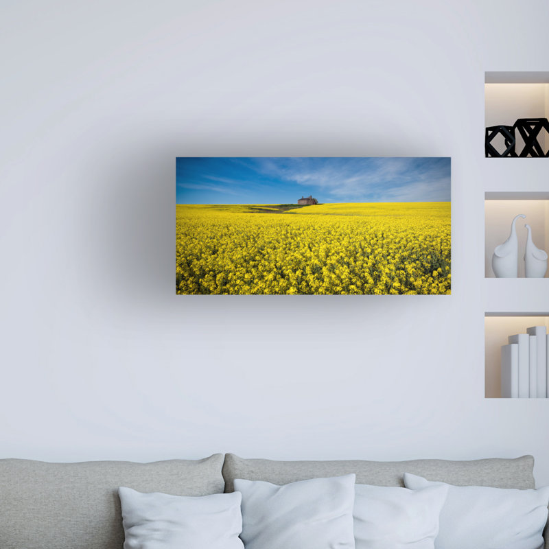 «The Canola Field», impression sur toile tendue, H 12 po x l 24 po x P 2 po