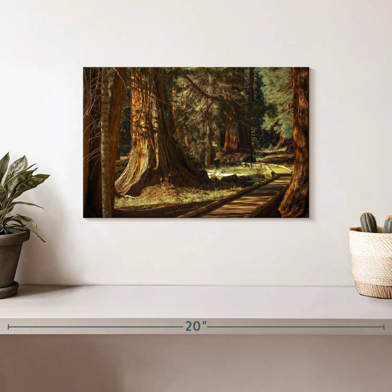 Harnek Sequoia Forest, 8" H x 12" W