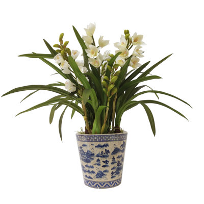 Faux Silk Orchid Arrangement in Pot