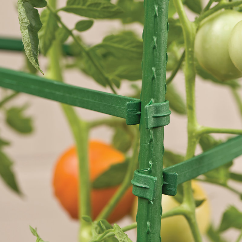 Baer Weather Resistant Plastic Plant Support