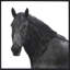 Horse Riggs Farm 5 Print by Chris Dunker-47362605