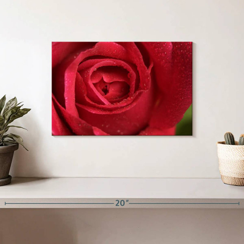 Rose rouge Harnek, H 8 po x l 12 po