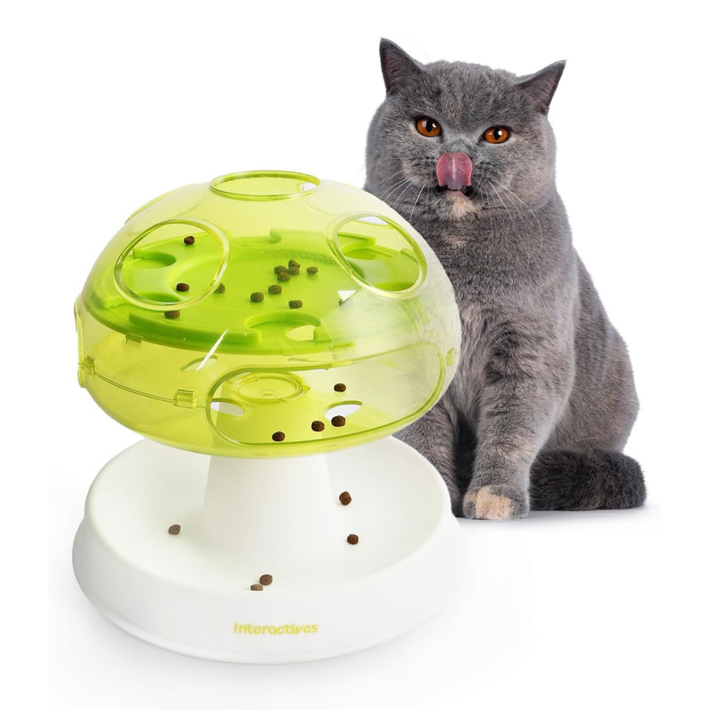 Enrichissement interactif de chat à champignon Interactives