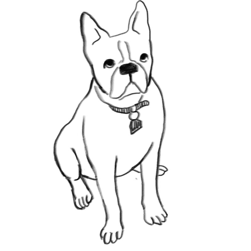 Puppy Puppy - Wrapped Canvas Print, 30cm H x 30cm W x 3.8cm D