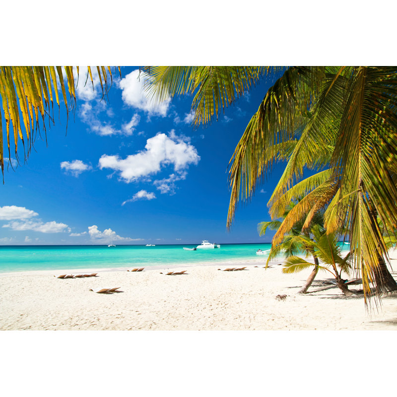 " Caribbean Paradise " by Pashapixel, 12" W x 8" H
