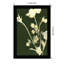 Pure Nature by Design Fabrikken-1889382715-1889382714