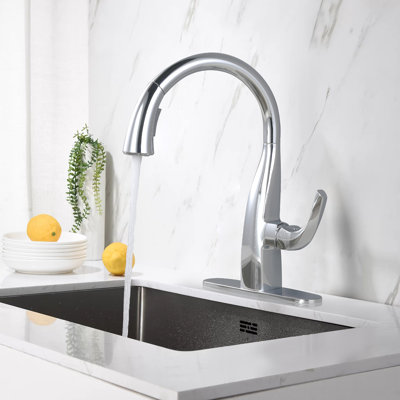 WOWOW Pull Down Kitchen Faucet