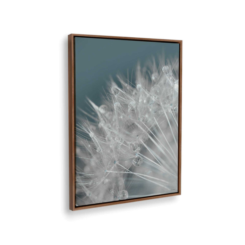 «Droplet in Time III» par Lori Deiter, reproduction d'art, 12 W x 16 H, Brown, Framed Canvas