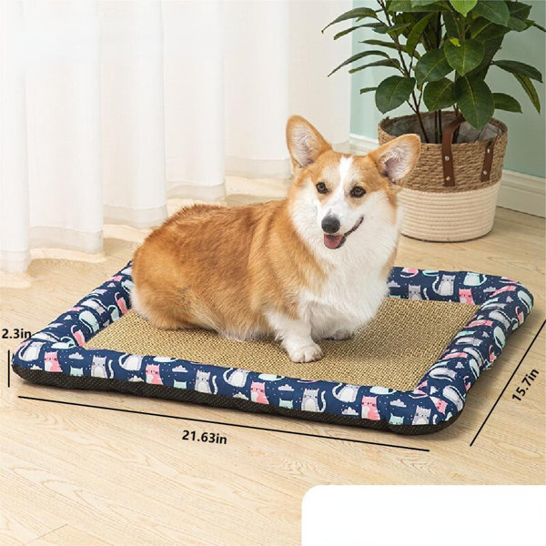 1 PC Pet carpet dog mat Small and medium-sized dog sleeping mat cat  sleeping mat summer non-slip pet mat