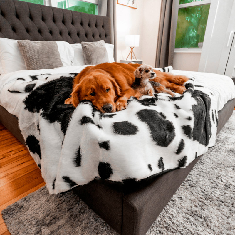 King Size Black and White Faux Fur Pet Blanket