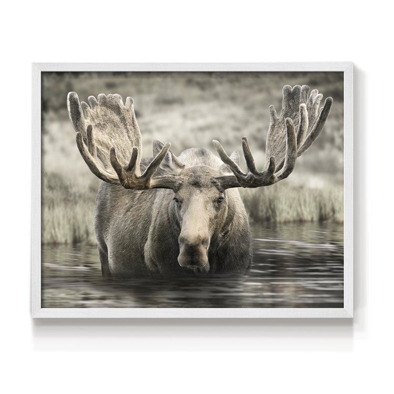Moose Hot Springs - reproduction encadrée - réarmable, H 16 po x l 20 po, Blanc