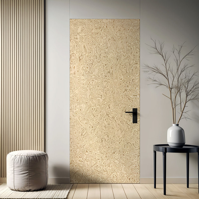 Dalle de porte intérieure en placage creux à noyau lisse brun clair, 36 po x 80 po