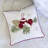 Velvet Throw Pillow
