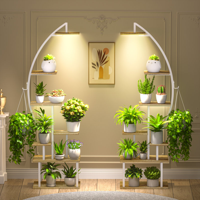 Support pour plante Renetia, Blanc / Chêne