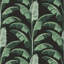 Banana Leaf - Wallpaper-272488708-272488712