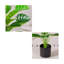 19,69 plante