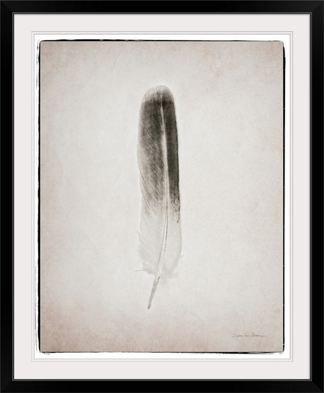 « plumes ii noir et blanc » par marie van swearingen, impression, H 38 po x l 32 po x P 1 po, Cadre noir