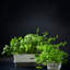 Triple bac à herbes Cole & Mason Burwell