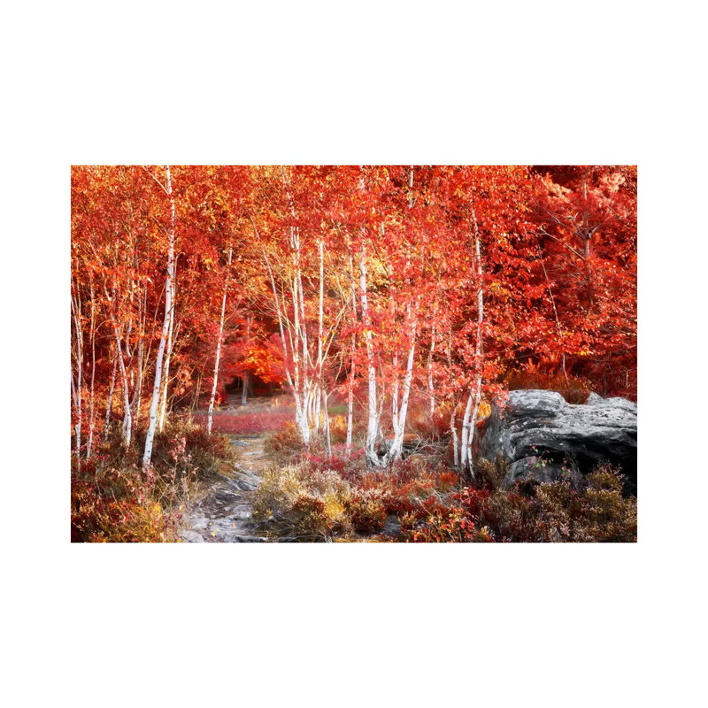 Birches Garden 1 Piece Wall Art on Canvas, 20.32 cm H x 30.48 cm W, Wrapped Canvas