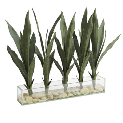 14 " H Faux Plant in Glass Decorative Vase