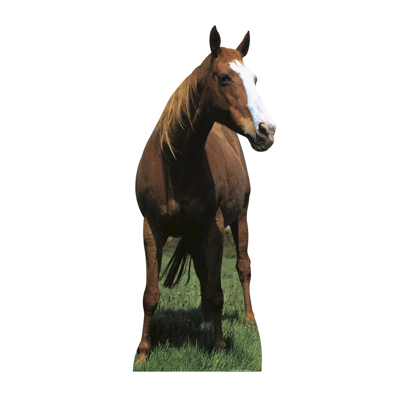 Accroche en carton mustang cheval