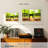 Alcaraz Forest Vision-108007135