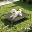 Elevated Dog Bed with Removable Cooling Cushion-801308715-801308708