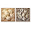 Ail ivoire Intricacy - Légumes, ensemble de 2 collages carrés-976371607-976371604