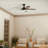 52'' Ceiling Fan with LED Lights-442598558