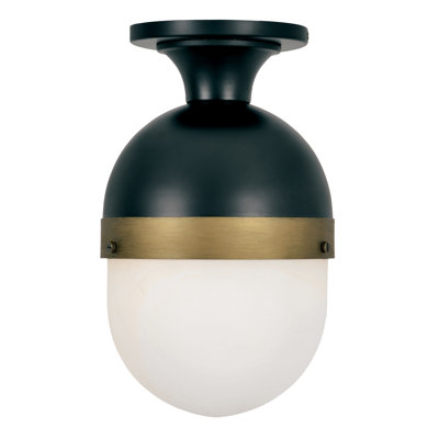 Capsule 1 - Light Outdoor Semi Flush Mount