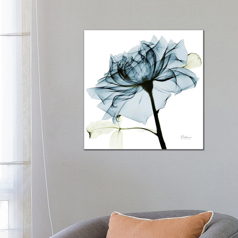 Rose III by Albert Koetsier - Wrapped Canvas Print, 66.04 cm H x 66.04 cm W x 1.91 cm D