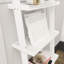 189cm H x 56cm W Ladder Bookcase-2020873232