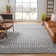 Champlain Shag Performance Southwestern Rug
