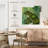 Brampt Little Frog-109366997