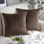Coussins décoratifs en velours, coussin décoratif uni-2070713854-2038999975-2038999950