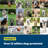 PetSafe® Wireless Fence Pet Containment System