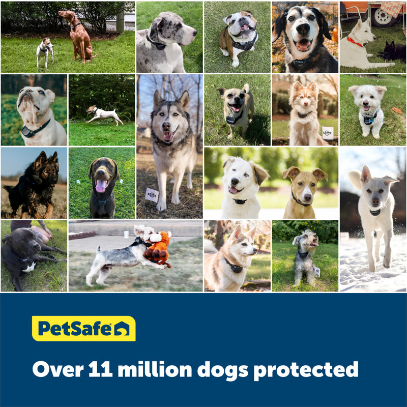 PetSafe Gray Wireless Fence System with Waterproof Collar
