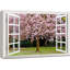 Fenêtre, paysage, fleurs de sakura en fleurs au printemps - impression sur toile tendue-98466606