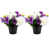 Purple Pansy & Rose / Set of 2
