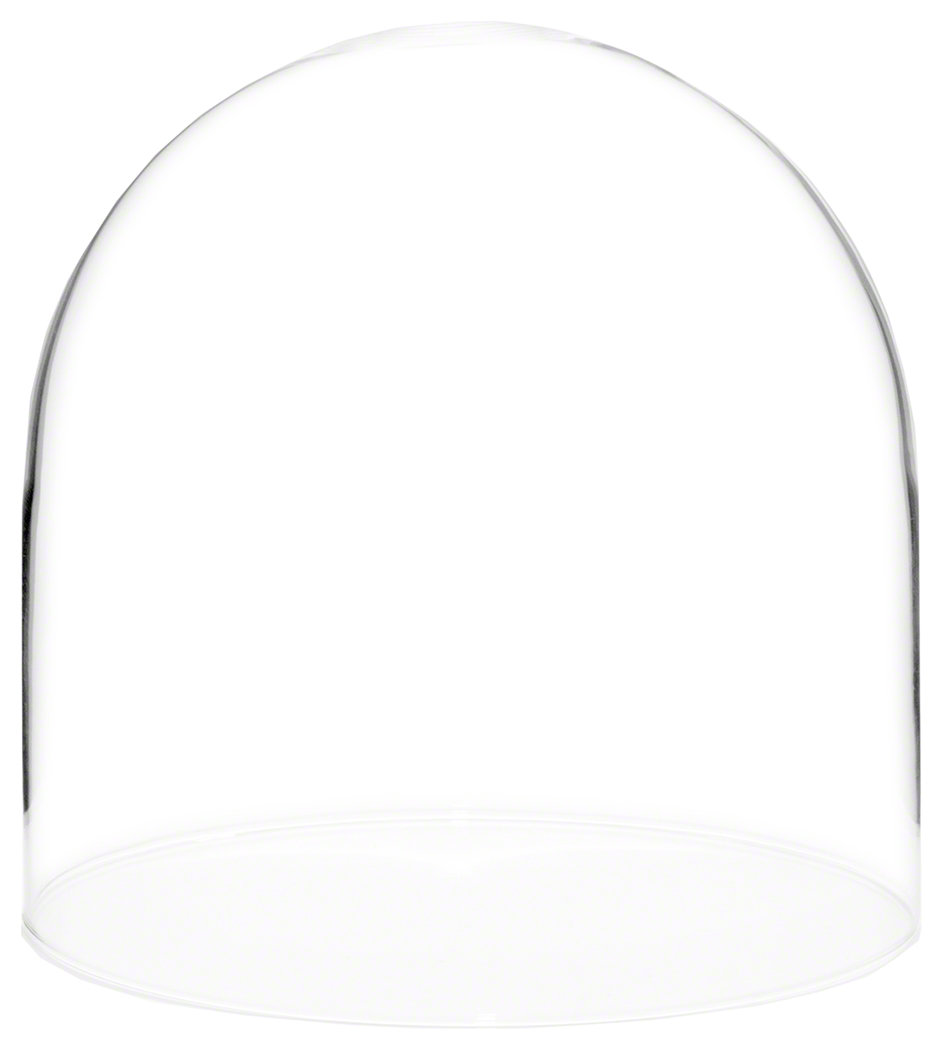 Latitude Run® Jenett Display Dome Cloche | Wayfair