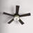 52"W Litza 5-Blade Bronzed Scallop Design Ceiling Fan