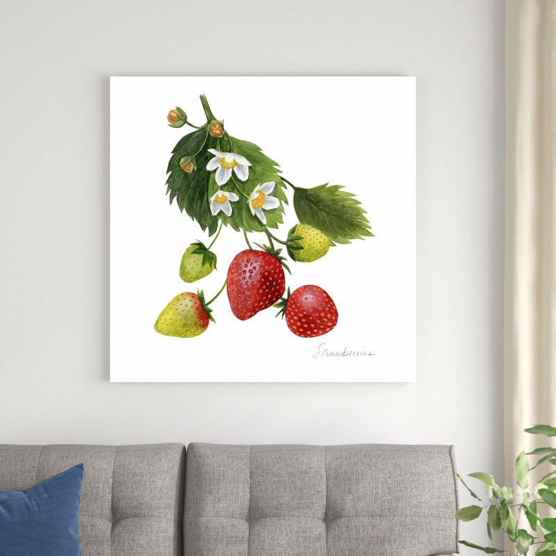 Étude de fraises I, H 36 po x l 36 po