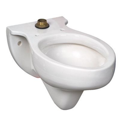 Rapidway Elongated Toilet Bowl (Seat Not Included)