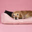 Polyester Pet Bed-88666953-88666956