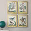 «Pastel Birds I», toile encadrée de qualité supérieure - prête à être accrochée-15036244-15036247