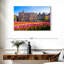 Nicci Amsterdam Tulips-111834731