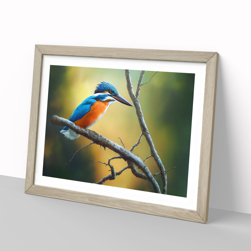 Cool Kingfisher Bird - Framed Print, 34cm H x 46cm W x 2cm D, Oak