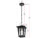 Luminaire suspendu d'extérieur noir Joelle 7 pouces